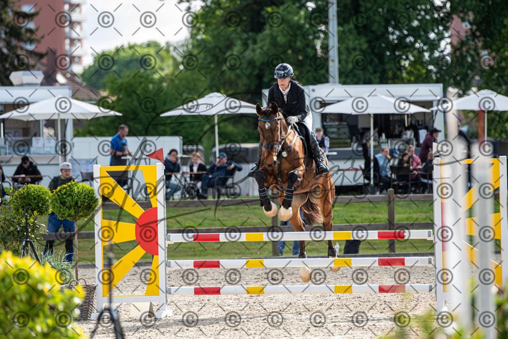 KPT_4727 | andre_photographic