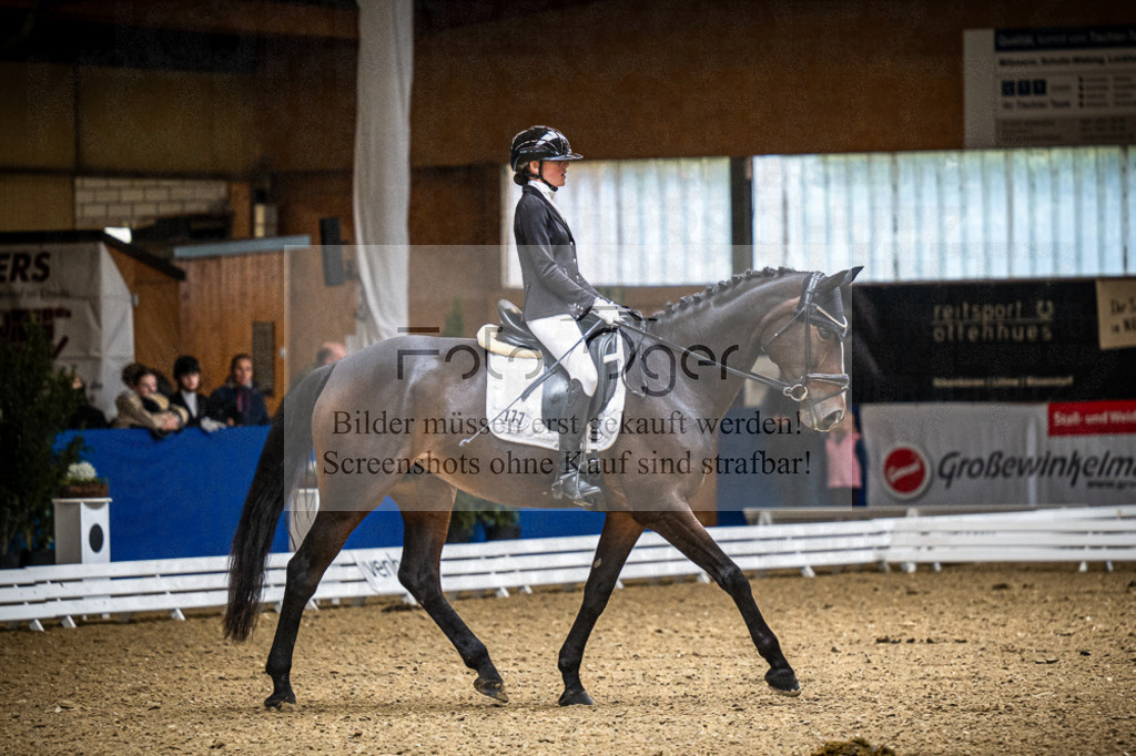 DOS_0444 | Entdecke hochwertige Reitturnierfotos von Foto Oger. Professionell, emotional und authentisch – jetzt Lieblingsmomente im Shop bestellen.Deutschlandweite Turnierfotografie. - Realisiert mit Pictrs.com