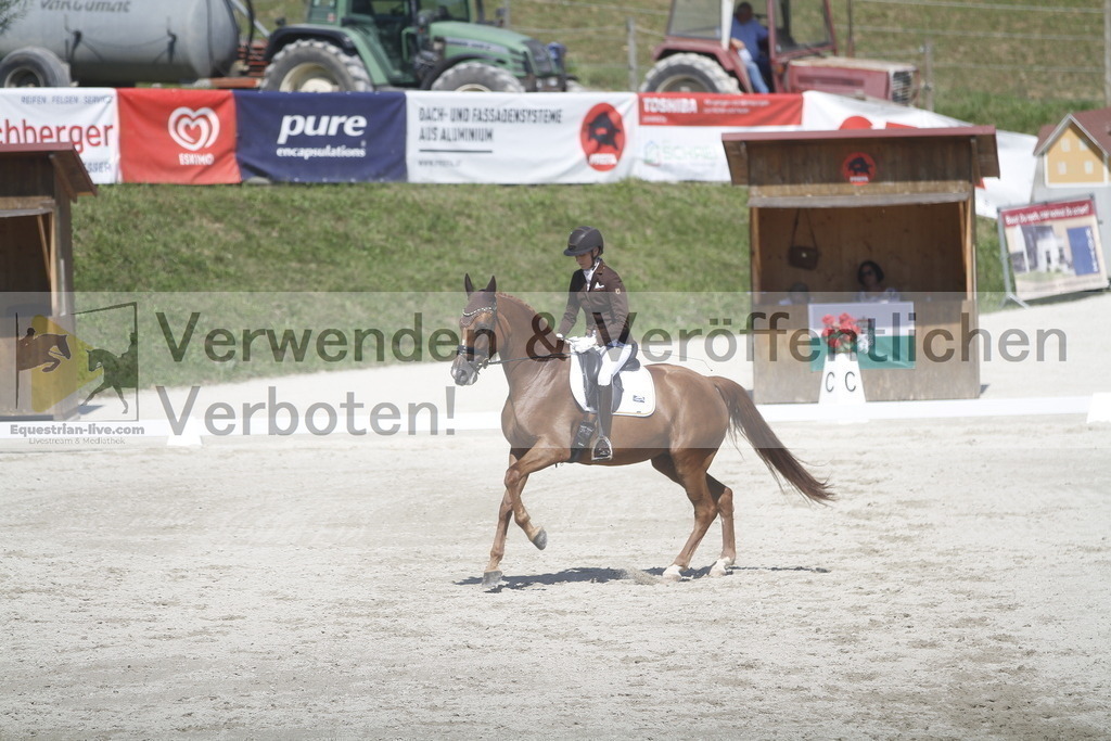 _MG_8513 | equestrian-live-com