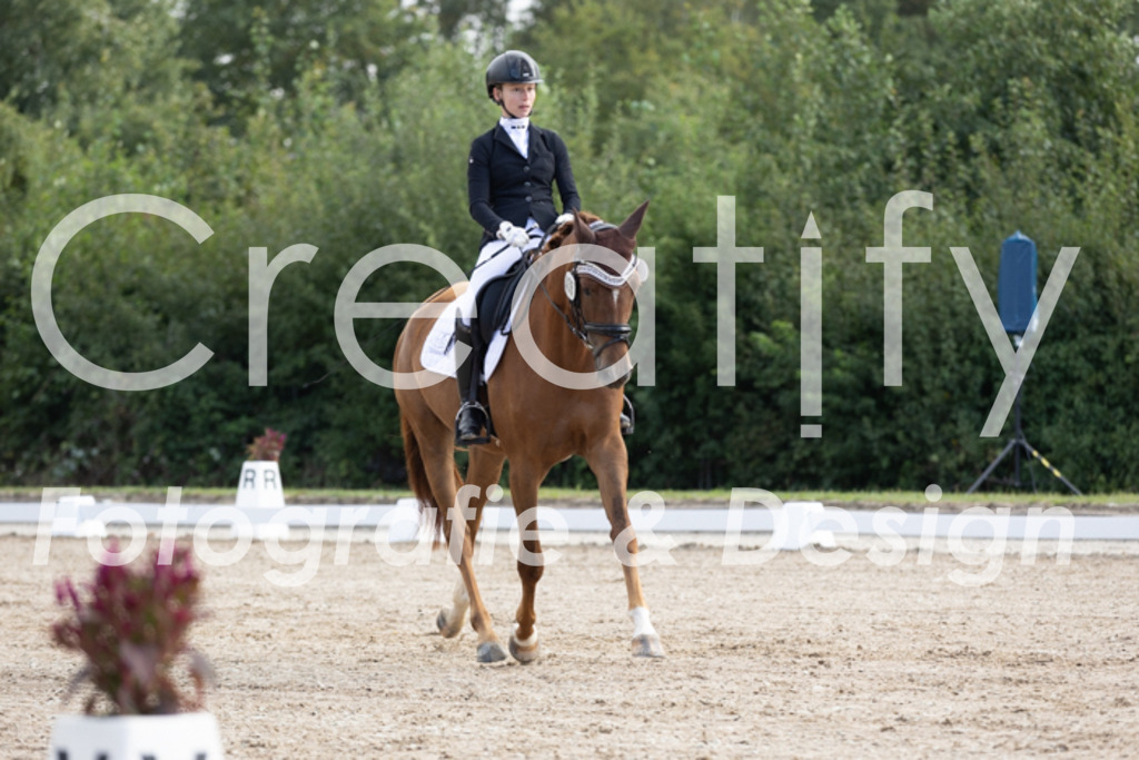 IMG_9886 | Creatify Fotografie