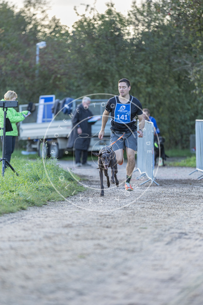 Pfotenfotografie.de_DV3A2813 | Hundefotografie, Tierfotograf, Pfotenfotografie, Fotoshooting Hund, Hunde Portrait, Hundesport, Hundeportraits, Heideshooting, Hunde, Sportfotograf, Hundefotograf, Turnierhundsport, THS, canicross - Realisiert mit Pictrs.com