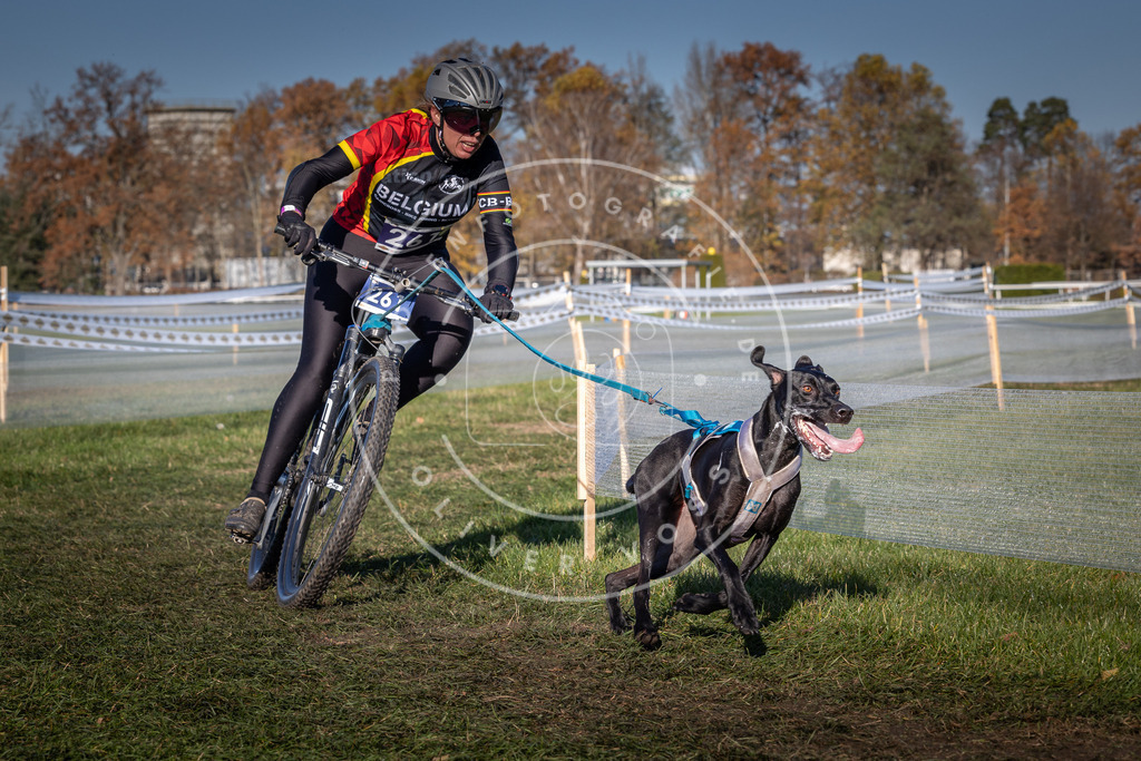 CaniXpix_0L8A5008 | Hundefotografie, Tierfotograf, Pfotenfotografie, Fotoshooting Hund, Hunde Portrait, Hundesport, Hundeportraits, Heideshooting, Hunde, Sportfotograf, Hundefotograf, Turnierhundsport, THS,  - Realisiert mit Pictrs.com