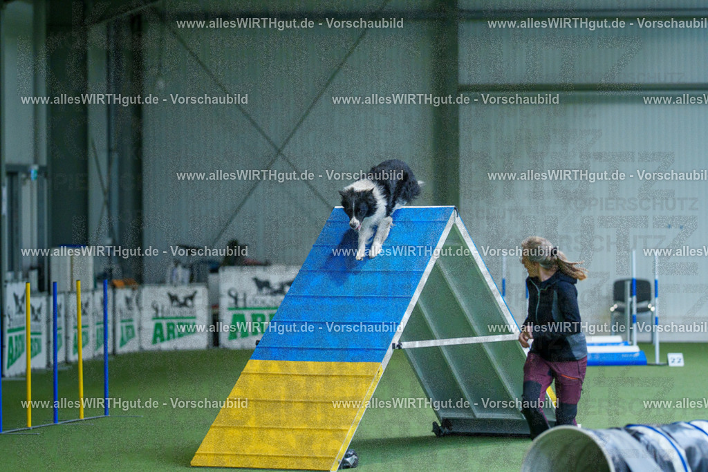 @allesWIRTHgut_Tierfotografie - www.allesWIRTHgut.de - 2604261531-7R505858 | Professionelle Tierfotografie in Mönchengladbach von Daniel Wirth (allesWIRTHgut). Liebevolle & natürliche Bilder von Hunden & Katzen für unvergessliche Erinnerungen.