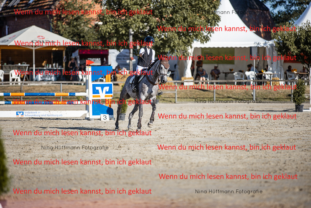 BK1A7522 | Turnierbilder Turnierfotos Nina Hüffmann Turnierfotografie Pferdefotografie Tierzeichnung Haustierzeichnung Pferdezeichnung Hundezeichnung Videograf  - Realisiert mit Pictrs.com