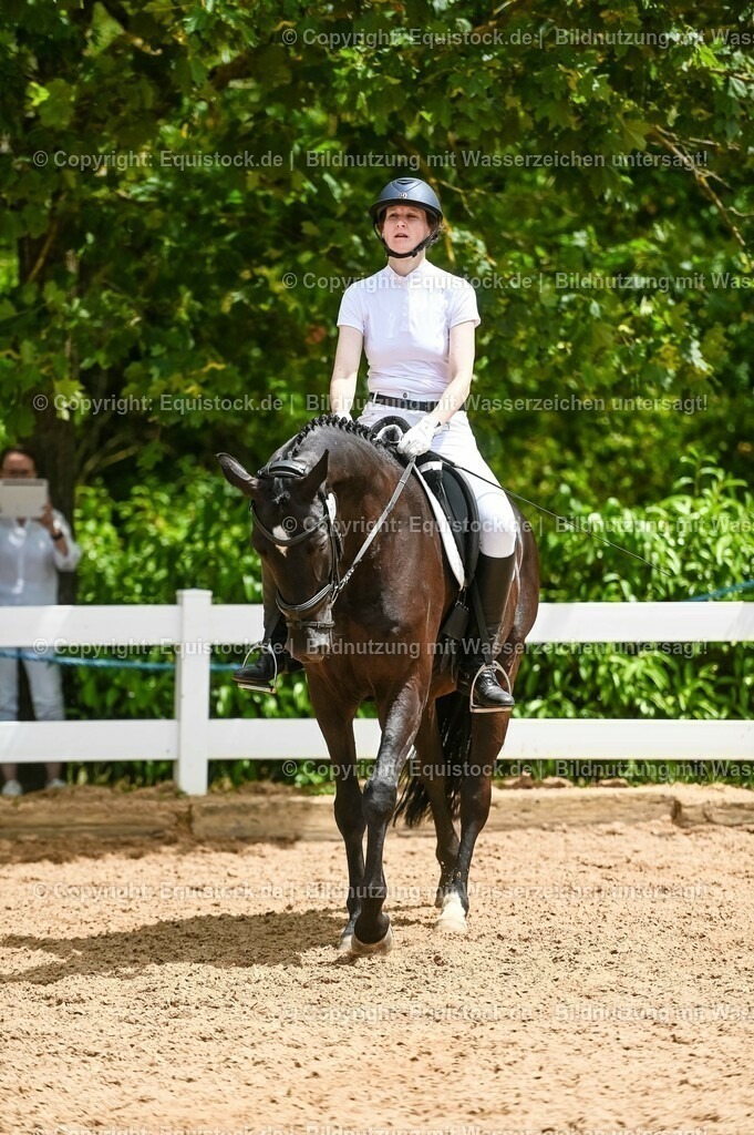20230715_05_Dressurprüfung Kl.A++_0256 | equistock