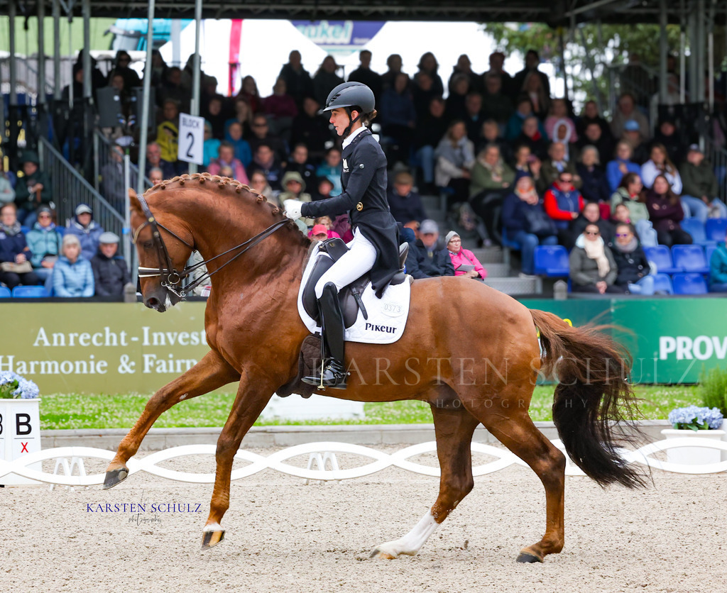 1B3A7615 | Reitsport Reiten