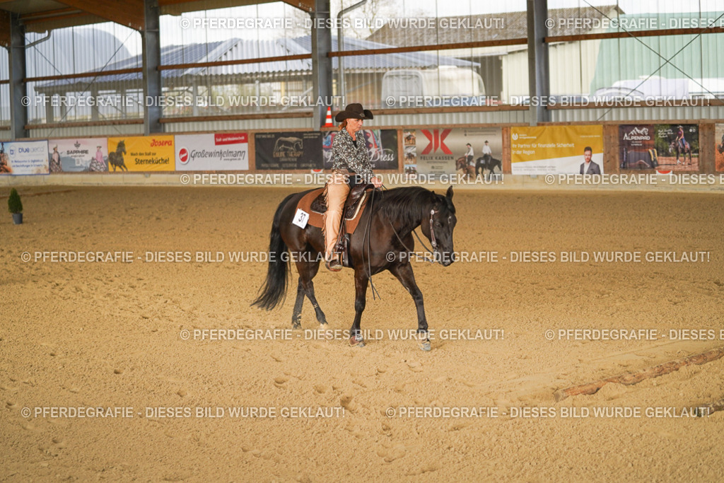 DSC01942 | Pferdegrafie