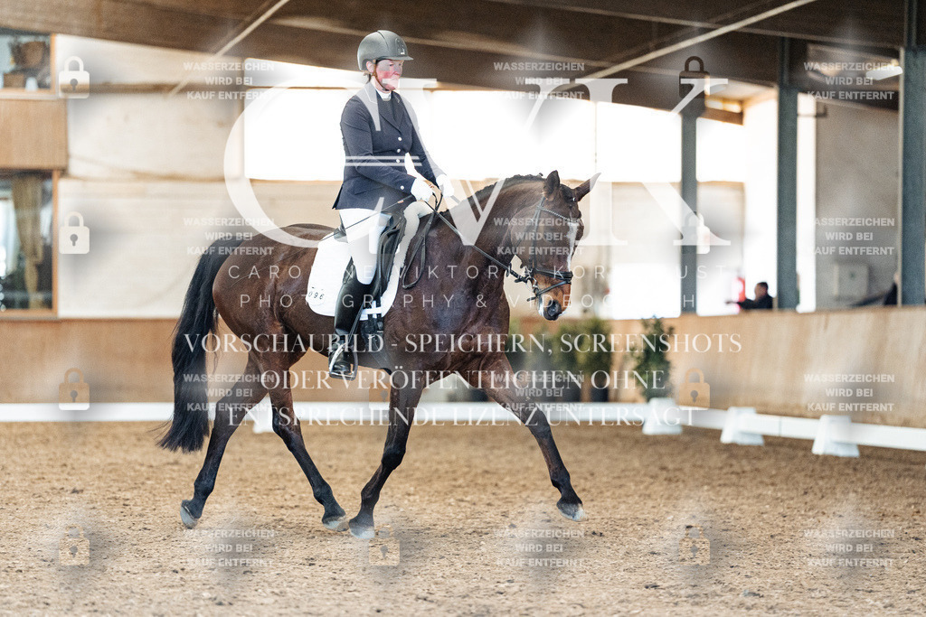 CK909181 | Turnierfotografie Pferdefotografie Trier Rheinland-Pfalz Pferdesport Reitsport Tierfotografie Sportfotografie Pferdevideo Pferdevideografie Equestrianvideography equestrianphotography  - Realisiert mit Pictrs.com