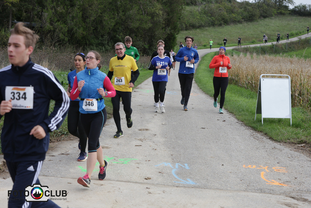 B (49) | Foto Buchgraber