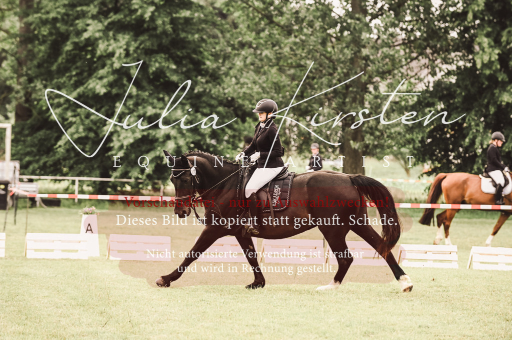 DSC_4910 | Pferde- und Turnierfotografie in Westsachsen. Pferdeportraits, Auftragszeichnungen und intuitive Kunst.