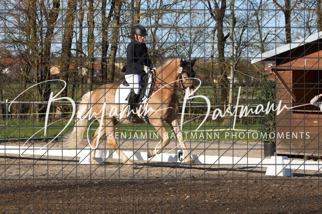 AZ2A5584 | Benjamin Bartmann Photomoments