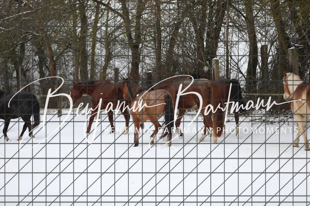 AZ2A3276 | Benjamin Bartmann Photomoments