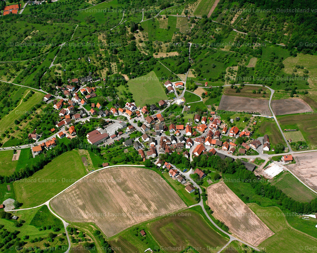 2506816 | Däfern, Auenwald