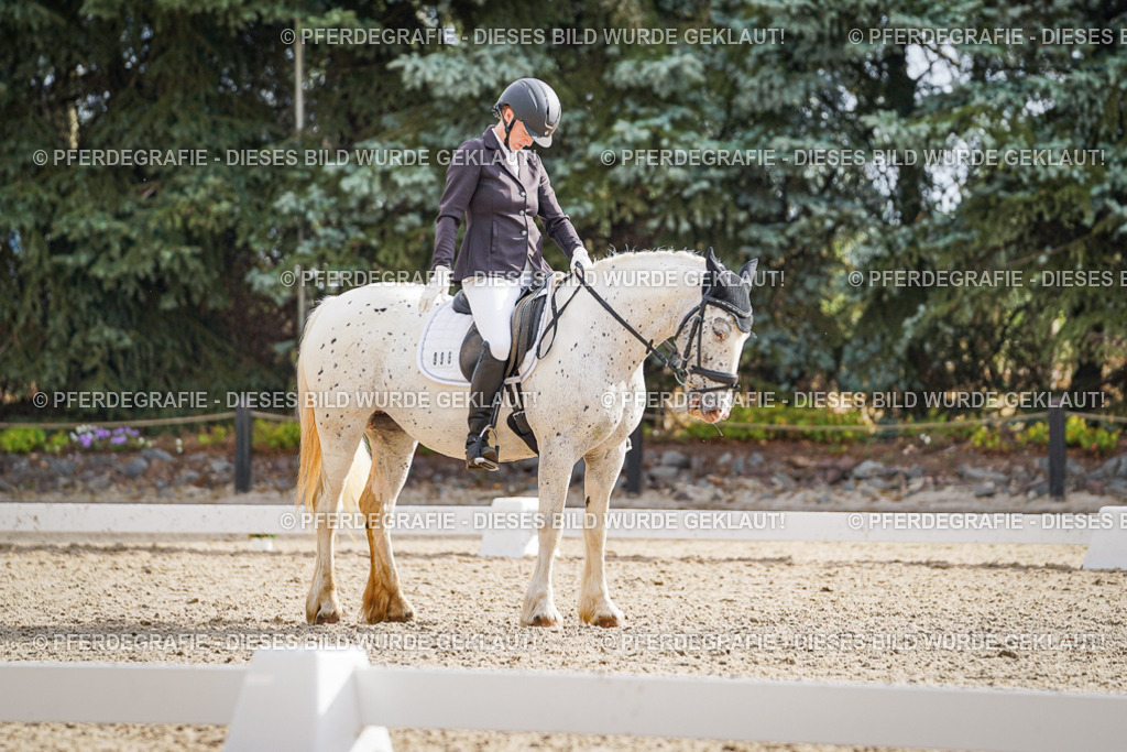 DSC01007 | Pferdegrafie