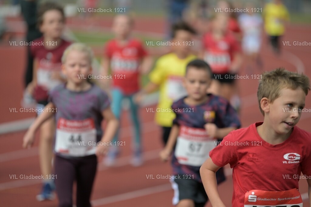 2026-08-23_Sparkassenlauf_1K5_KHT_00108 | Die Fotografen - Realisiert mit Pictrs.com