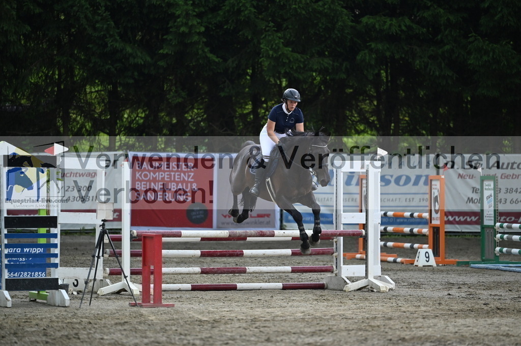 DSC_4711 | equestrian-live-com