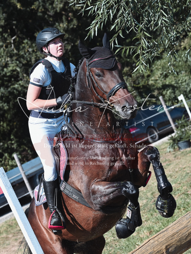 DSC_8574-2 | Pferde- und Turnierfotografie in Westsachsen. Pferdeportraits, Auftragszeichnungen und intuitive Kunst.