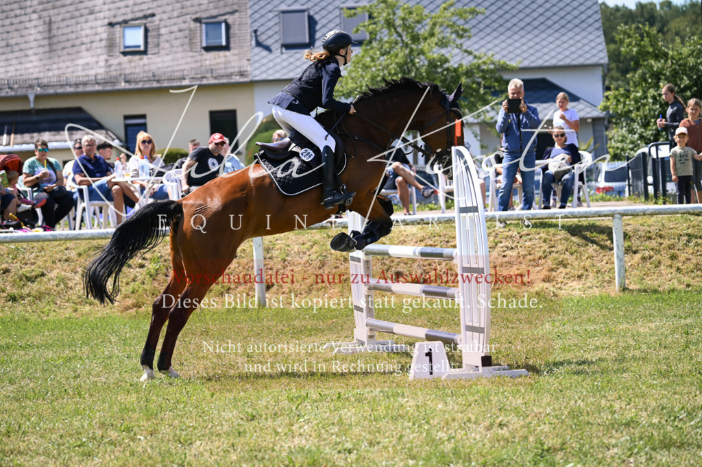 DSC_0129 | Pferde- und Turnierfotografie in Westsachsen. Pferdeportraits, Auftragszeichnungen und intuitive Kunst.