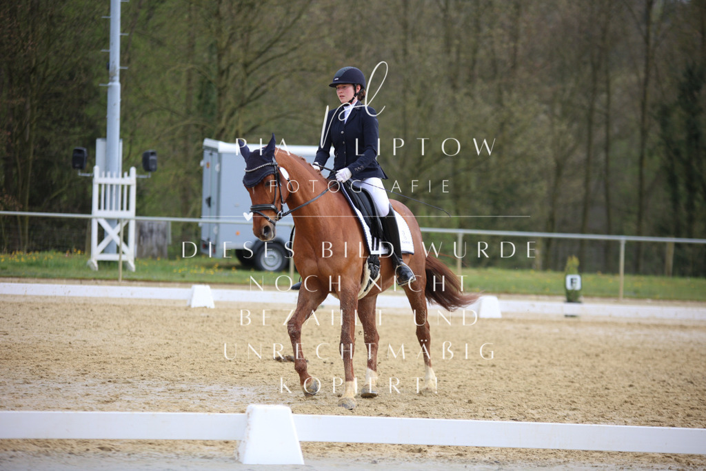 IMGT6782 | pl-fotografie