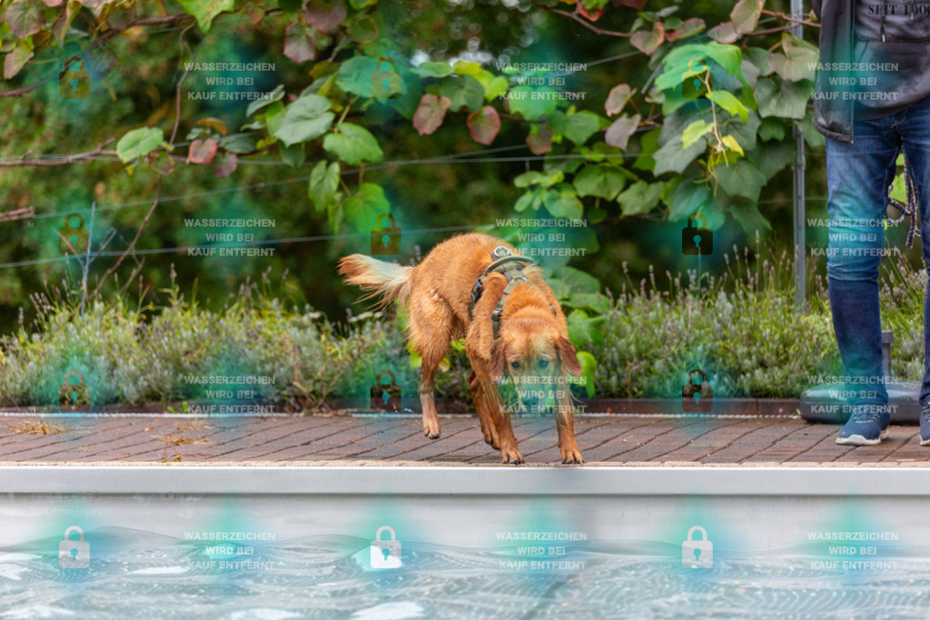 _HP_6210_1000o | HetPix, HetPix Fotodesign, Fotografie, Fotodesign, Webshop, Sportfotografie, Portraitfotografie, Onlineshop, Sportfotografie, Polch, Motorsportfotografie, Eventfotografie