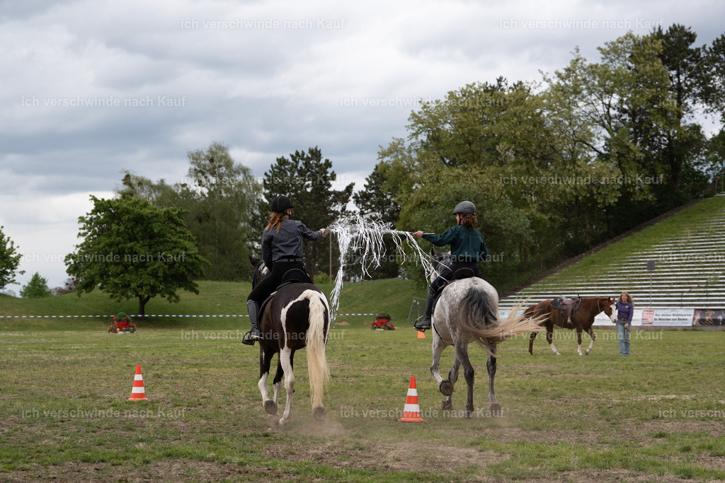 PI26_show_Jan_Picutures7C_06771.jpg | working equitationturnier fotograf videograf stoibphotography marixx film working equitation deutschland reitsport turnierfotografie eventfotografie equestrian events