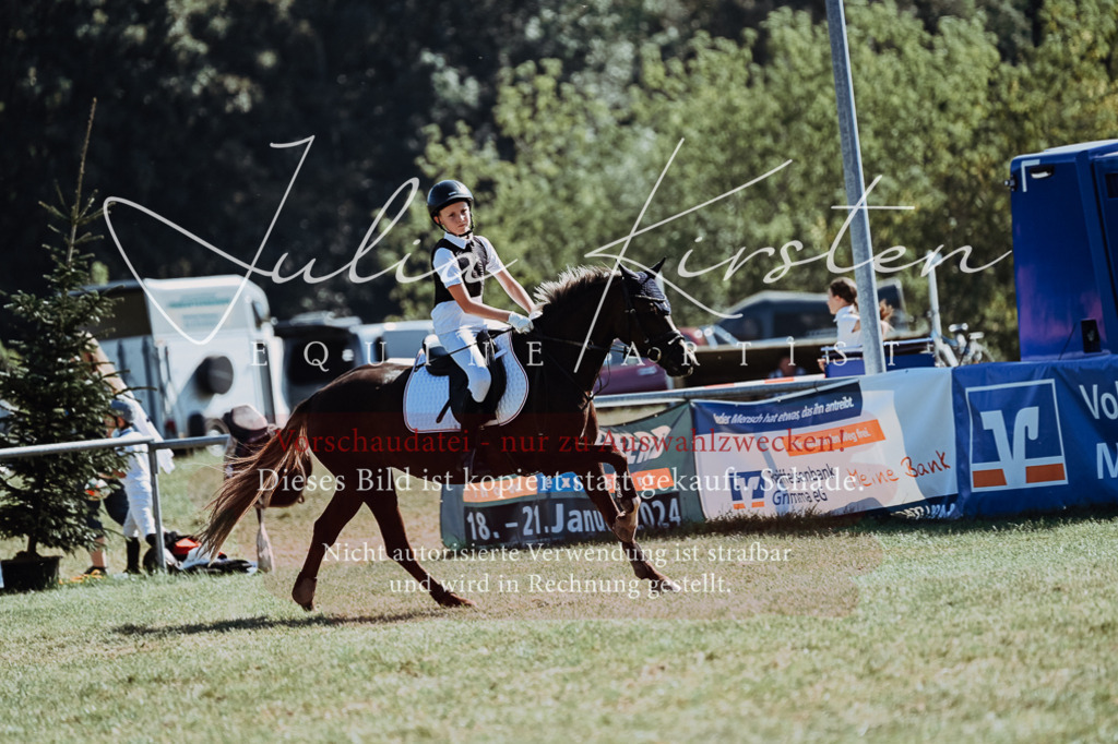 DSC_6909 | Pferde- und Turnierfotografie in Westsachsen. Pferdeportraits, Auftragszeichnungen und intuitive Kunst.