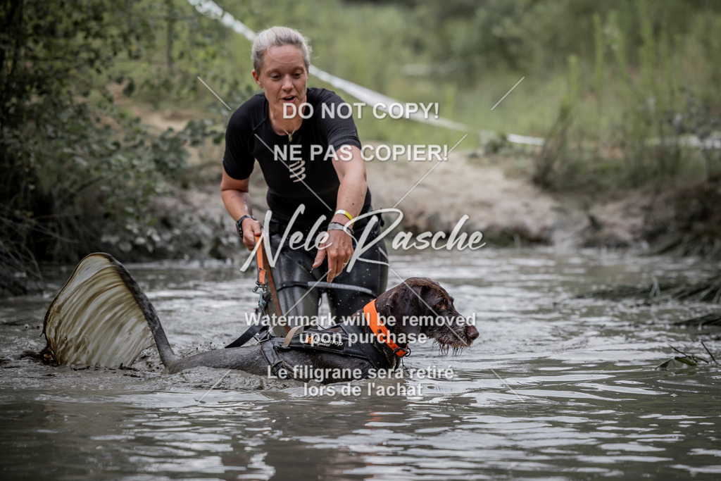 nelerasche_so0800-0930_347 | nelerasche