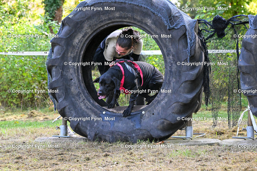 DSC_0427 | Hallo und herzlich Willkommen auf meiner Shop-Seite Fynn Most.

Ich wünsche Dir viel Spaß beim stöbern durch die Bilder, wenn Du Fragen hast oder Bilder vermisst, kannst du mir gerne eine Nachricht schreiben. - Realisiert mit Pictrs.com