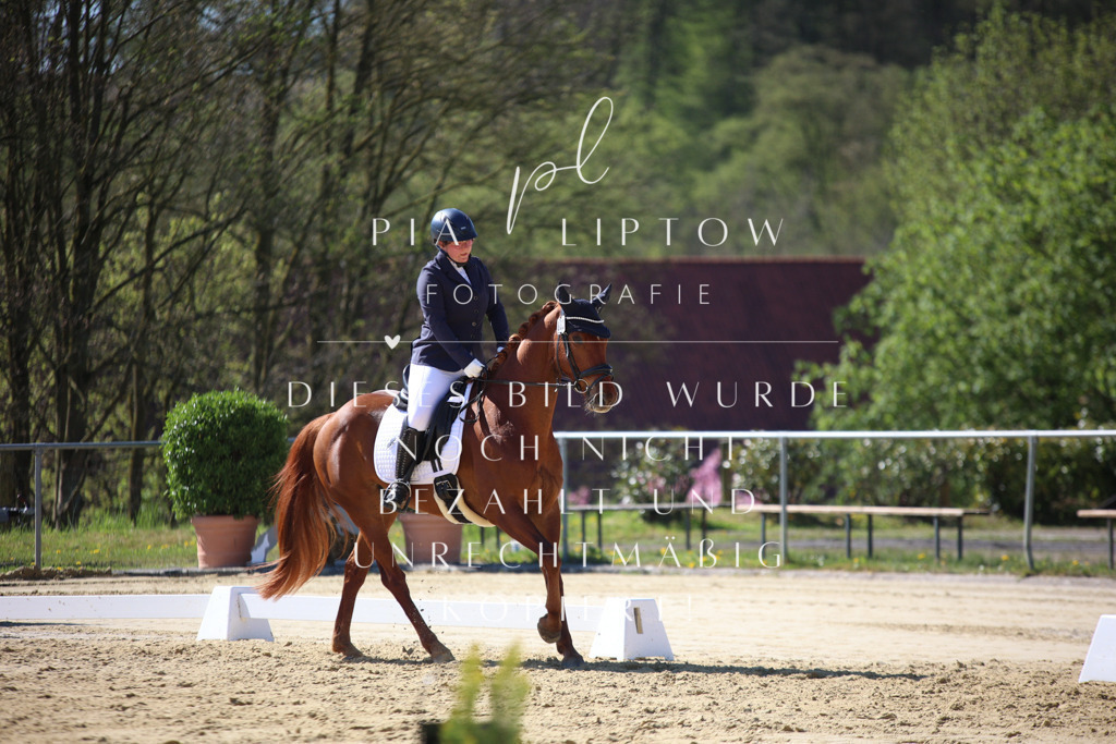 IMGT9852 | pl-fotografie