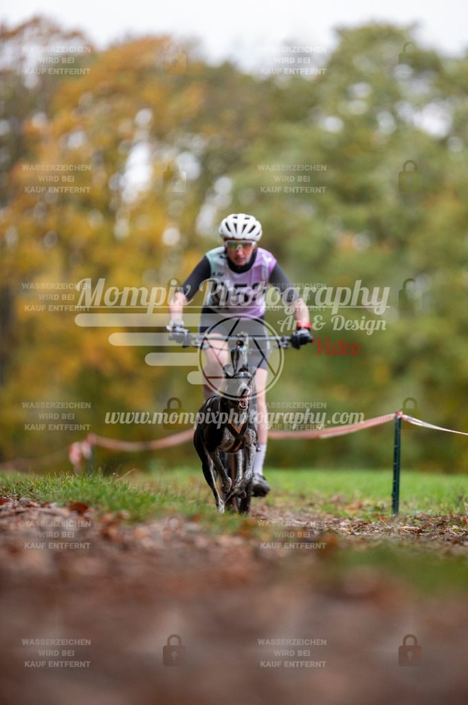 DBT_DAKM_SA_4_11_2023_Bike-22 | PayLife