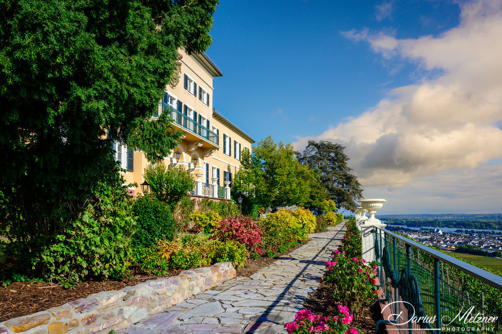 _DSC0418 | Fotografien, Fotos und Bilder aus Mainz, Frankfurt, Wiesbaden und anderen Orten auf der Welt - Fotografiert von Darius Metzner