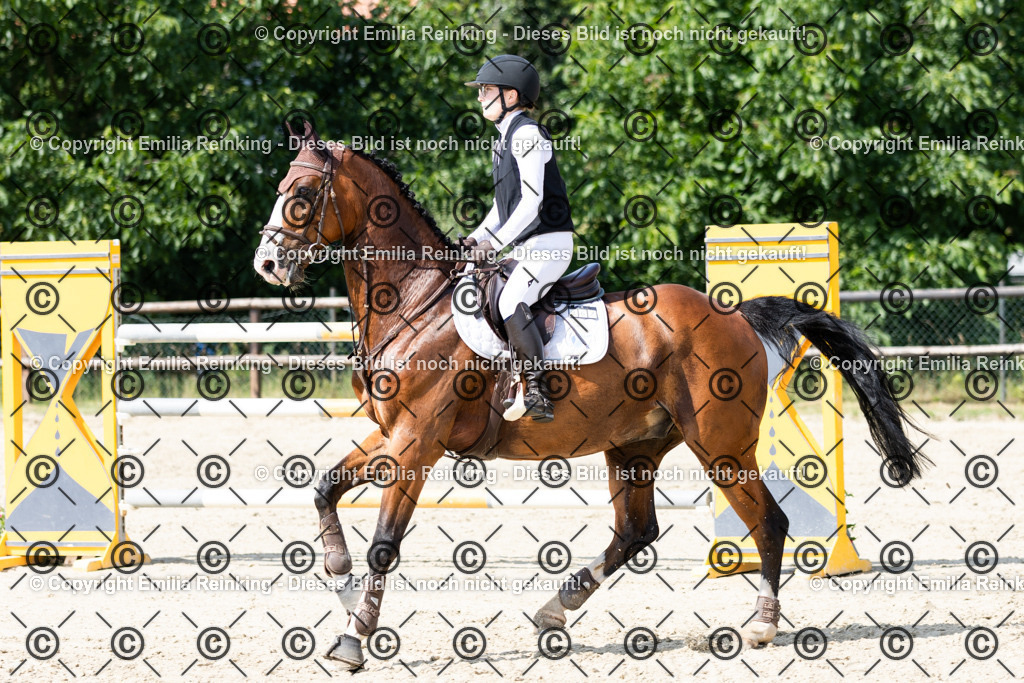 CL5A8631 | Emilia Reinking Fotografie - Realisiert mit Pictrs.com