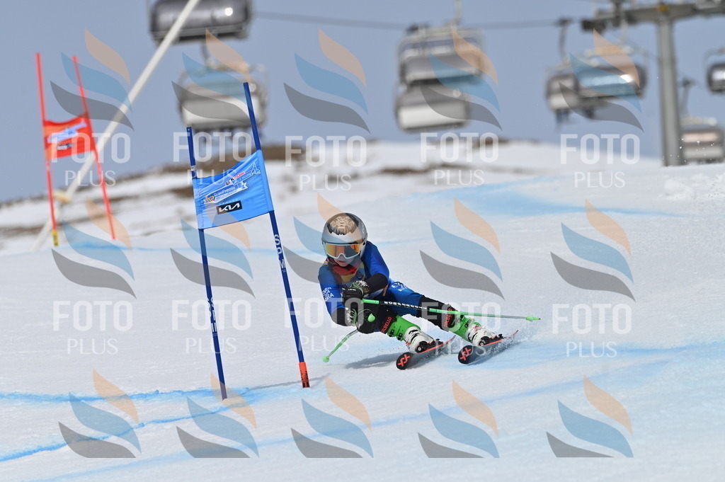 BGV_4847 | holidayphoto