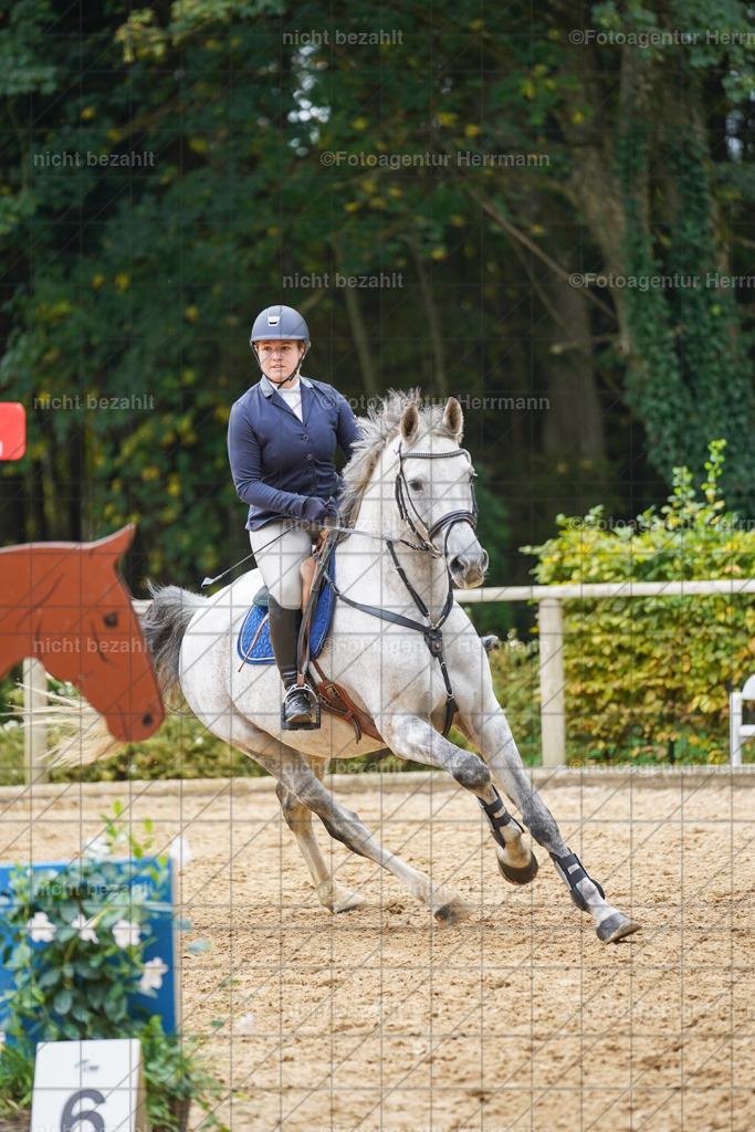 20221009-FAH08821 | Diessen am Ammersee, 2022, Dressur- und Springturnier, Reitsportbilder, Turnierfotografen Bayern, Pferdefotografen, Fotoagentur Herrmann, Turnierbilder