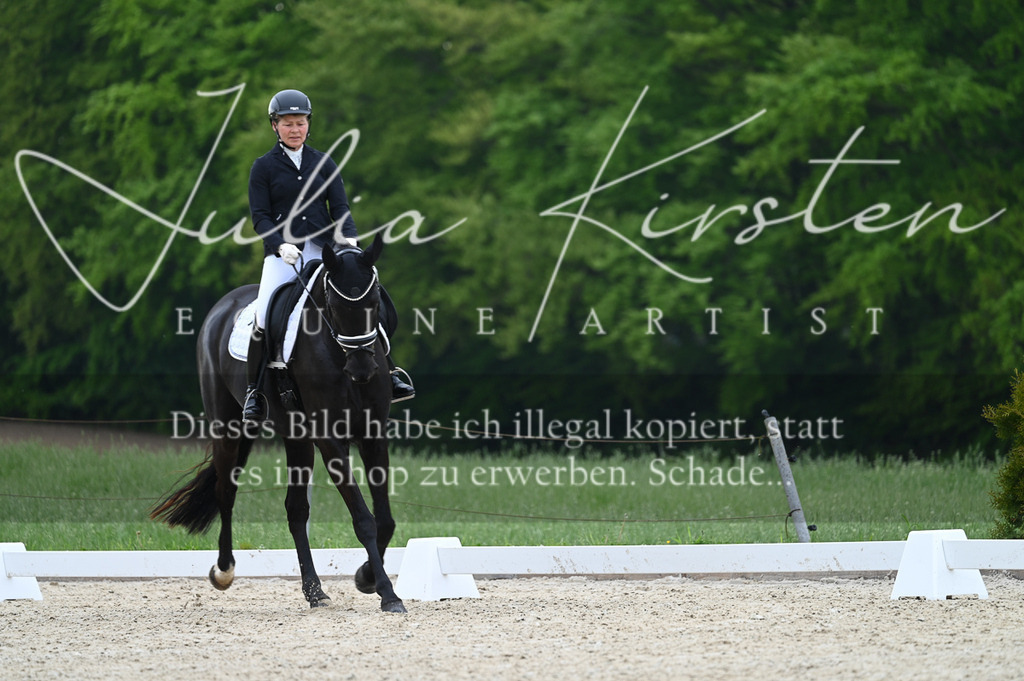 20230512_JK-Röhrsdorf-02-004 | Pferde- und Turnierfotografie in Westsachsen. Pferdeportraits, Auftragszeichnungen und intuitive Kunst.