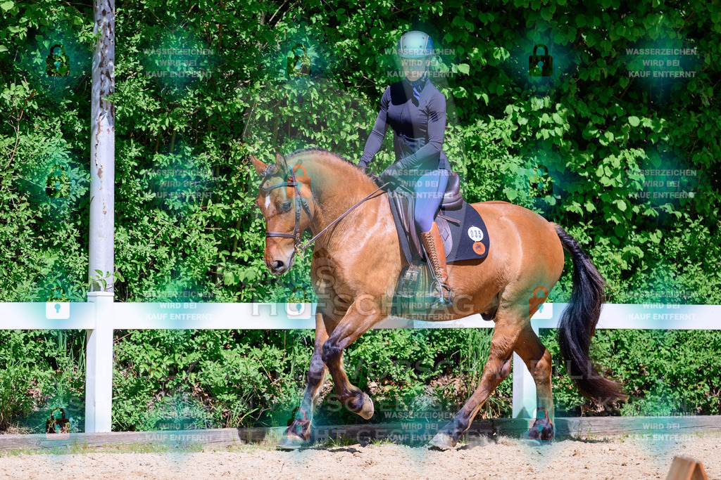 01052026-Giesenbach-02-Stiltrail-0386 | Fokus Hufschlag Fotografie - Realisiert mit Pictrs.com