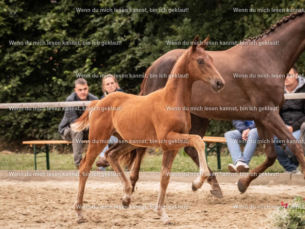 A10I6811 | photographylinaismer - Realisiert mit Pictrs.com