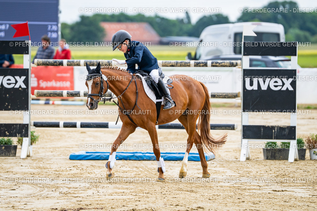 DSC06498 | Pferdegrafie