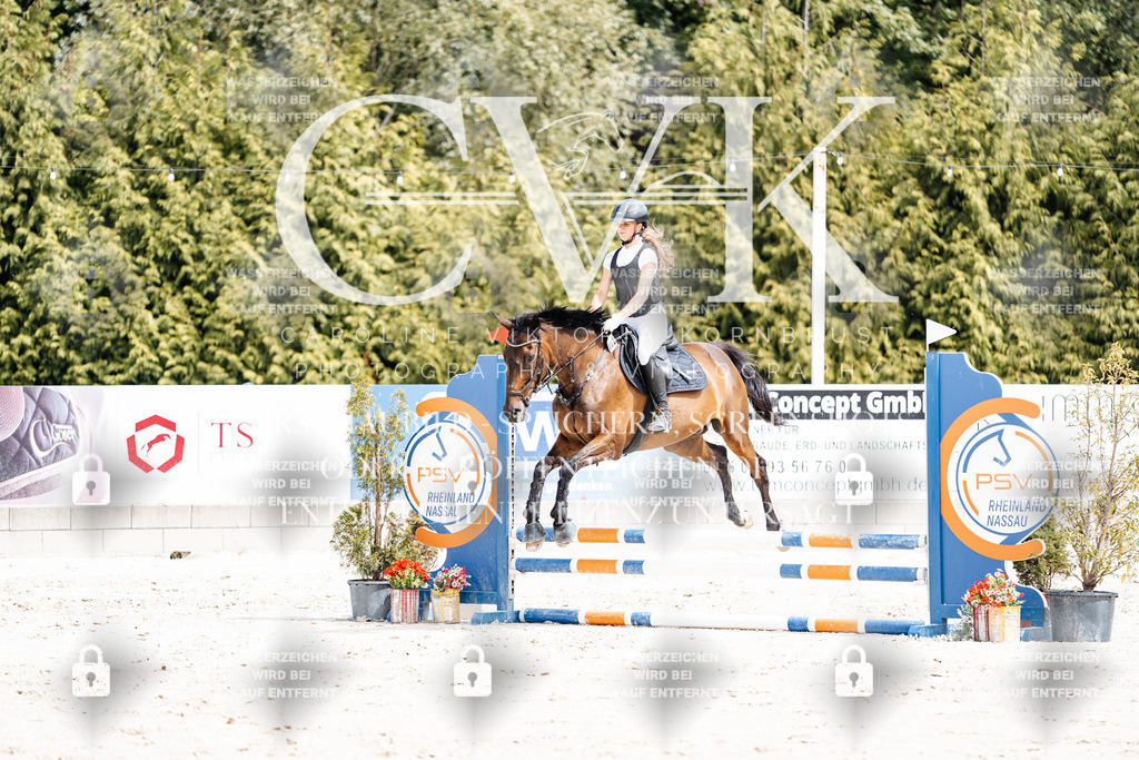CK906715 | Turnierfotografie Pferdefotografie Trier Rheinland-Pfalz Pferdesport Reitsport Tierfotografie Sportfotografie Pferdevideo Pferdevideografie Equestrianvideography equestrianphotography  - Realisiert mit Pictrs.com