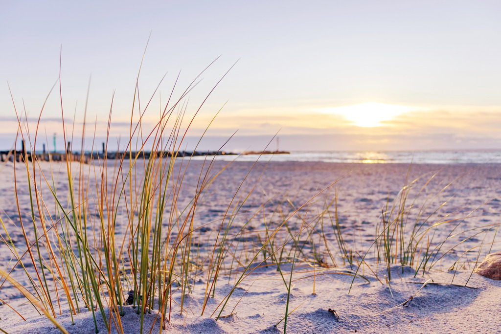 0336 Damp | Maritime Wandbilder für Zuhause, Büro & Praxis. Hochwertige Motive der Ostsee & Schlei auf edlem Acrylglas, Leinwand & FineArt. Gratis Versand in DE. - Realisiert mit Pictrs.com