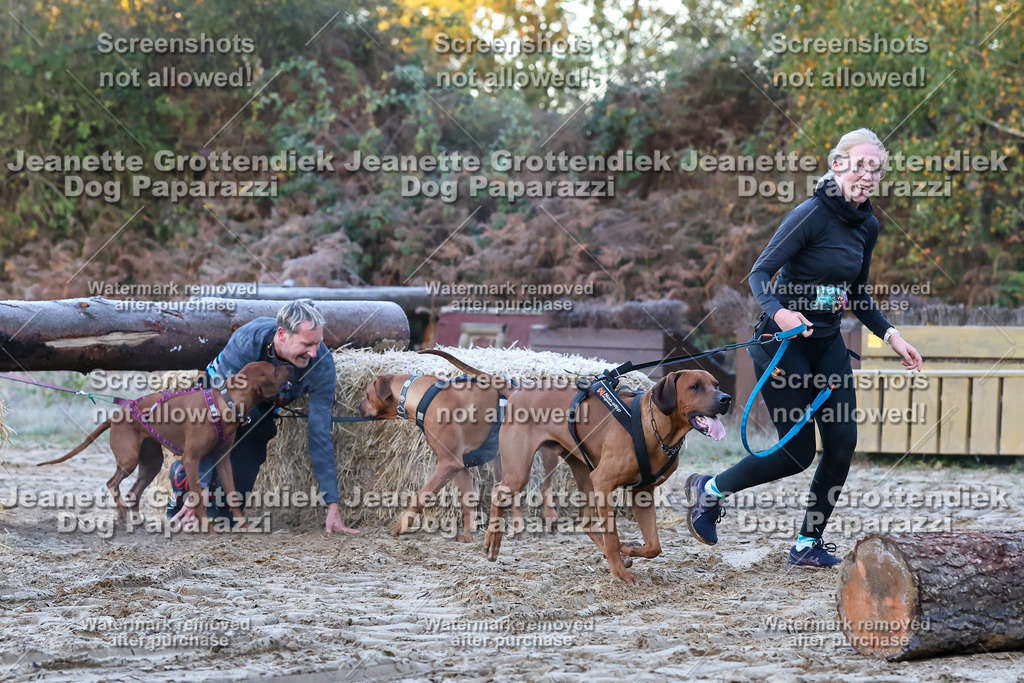 Dog Paparazzi - Strongdog 10-25-166 | Dog Paparazzi Jeanette Grottendiek Fotografie & Videografie - Realisiert mit Pictrs.com