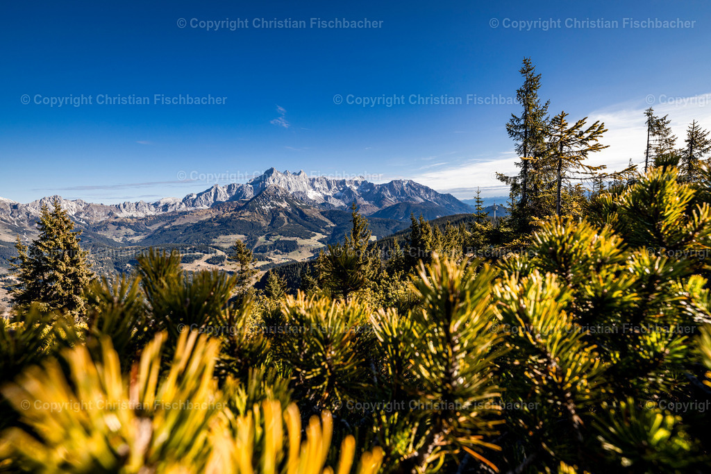 Fotos_Copyright_Chri_Fischbacher_Druck-485 | Bildershop Chri Fischbacher - Realisiert mit Pictrs.com