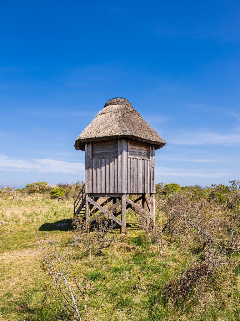 Beobachtungsturm am Altbessin auf der Insel Hiddensee | Beobachtungsturm am Altbessin auf der Insel Hiddensee.