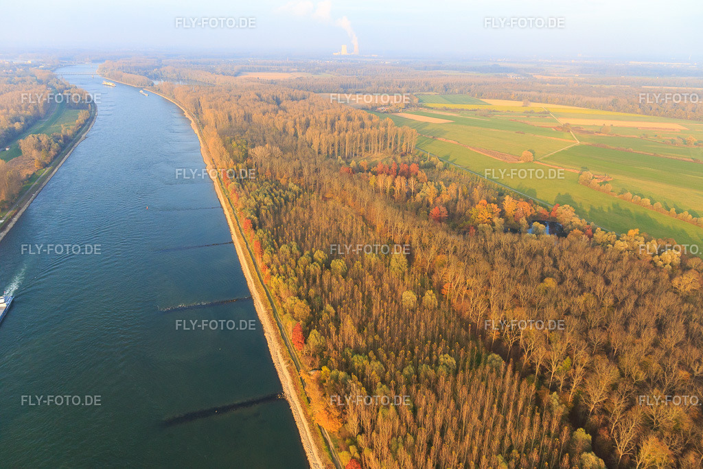 Buhnen bei Rheinnormalwasser | Luftbild: Buhnen bei Rheinnormalwasser in Germersheim im Bundesland Rheinland-Pfalz in Deutschland. Foto: IMG_104496.jpg vom 03.11.2017 durch Werner Riehm/FLY-FOTO.de - Realisiert mit Pictrs.com