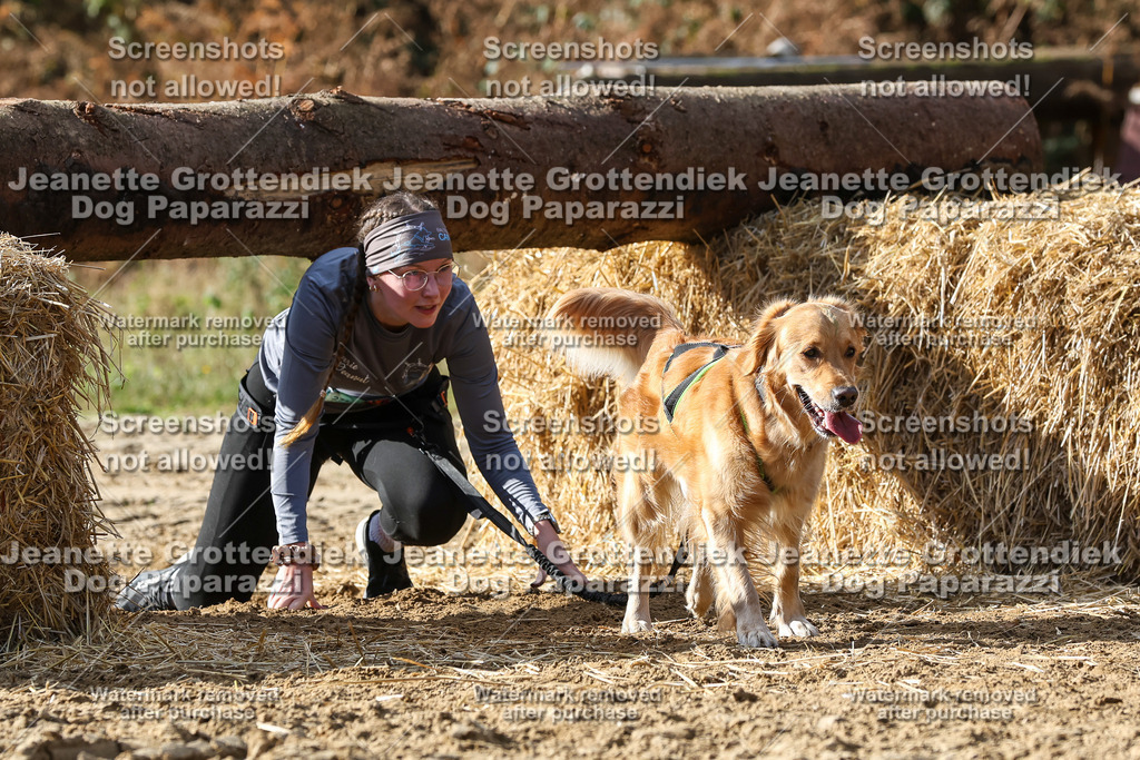 Dog Paparazzi - Strongdog 10-25-5373 | Dog Paparazzi Jeanette Grottendiek Fotografie & Videografie - Realisiert mit Pictrs.com