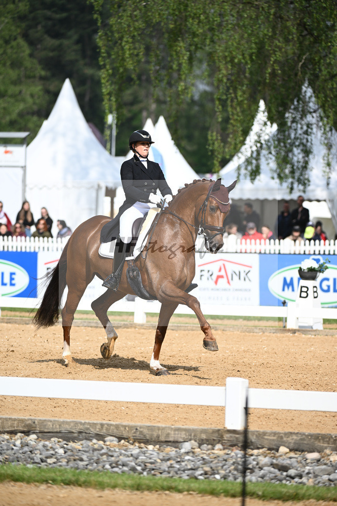 Rhomberg-Rochelt_D Rex RR_12240076 | hf-fotografie - Realisiert mit Pictrs.com