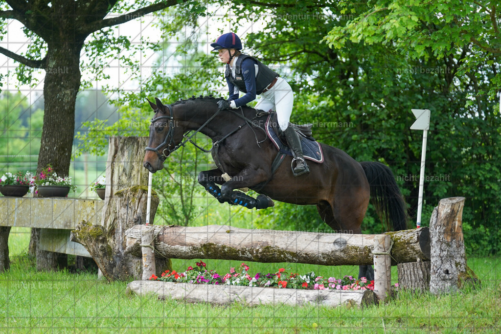 20240518-FAH03664 | Turnierbilder von Niederseon, Turnierfotografen Bayern, Fotoagentur Herrmann, Geländebilder, Reitsportfotografie