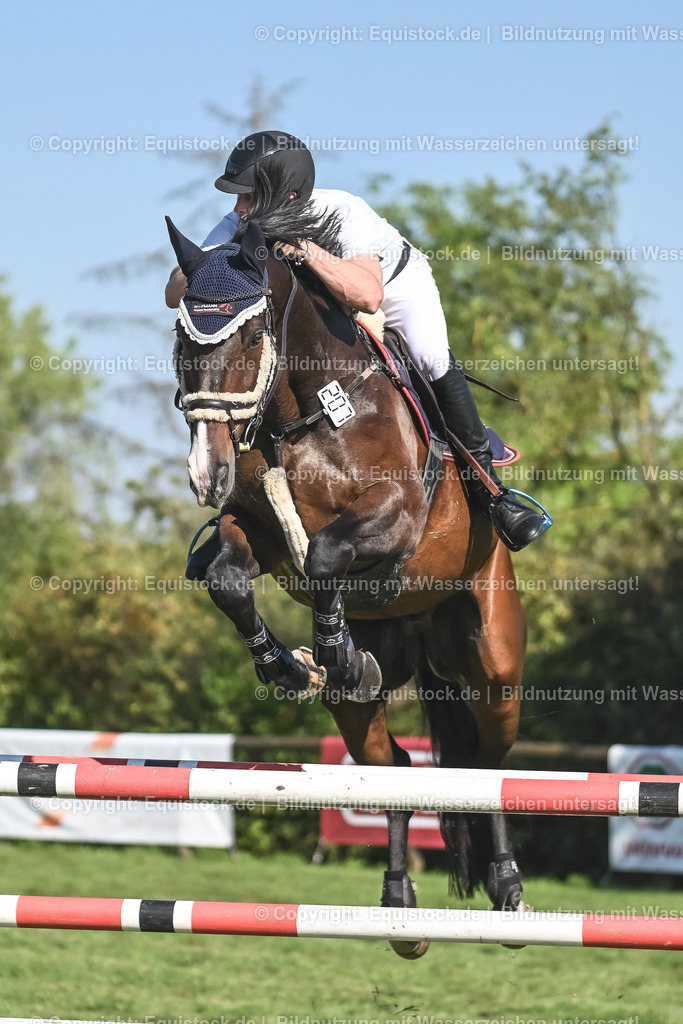 20230908_24_Springen_M_0026 | equistock