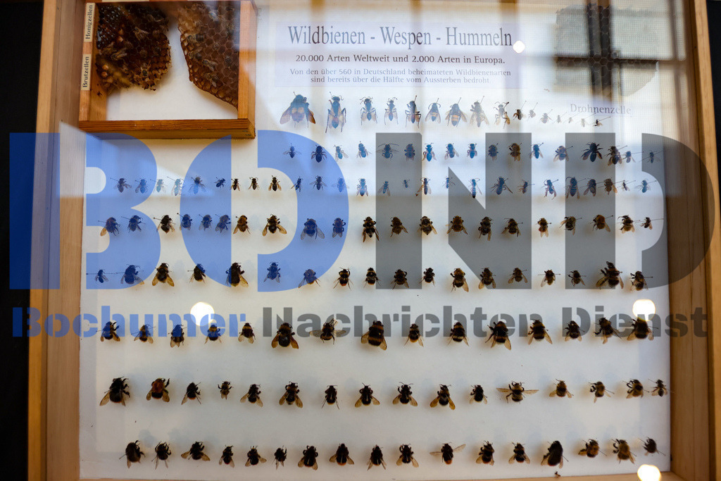 SES_INSBOC20250316-18 | bond - Realisiert mit Pictrs.com