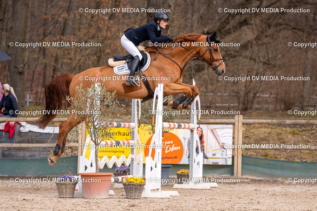 Kranichstein Tag 2-1765 | dv-media-shop - Realisiert mit Pictrs.com